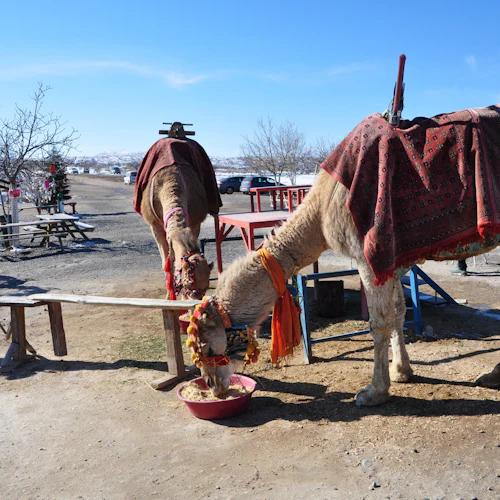 Cappadocia: Mix Tour