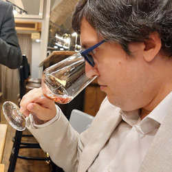 Rome: Guided Wine & Olive Oil Tasting + Lunch 5