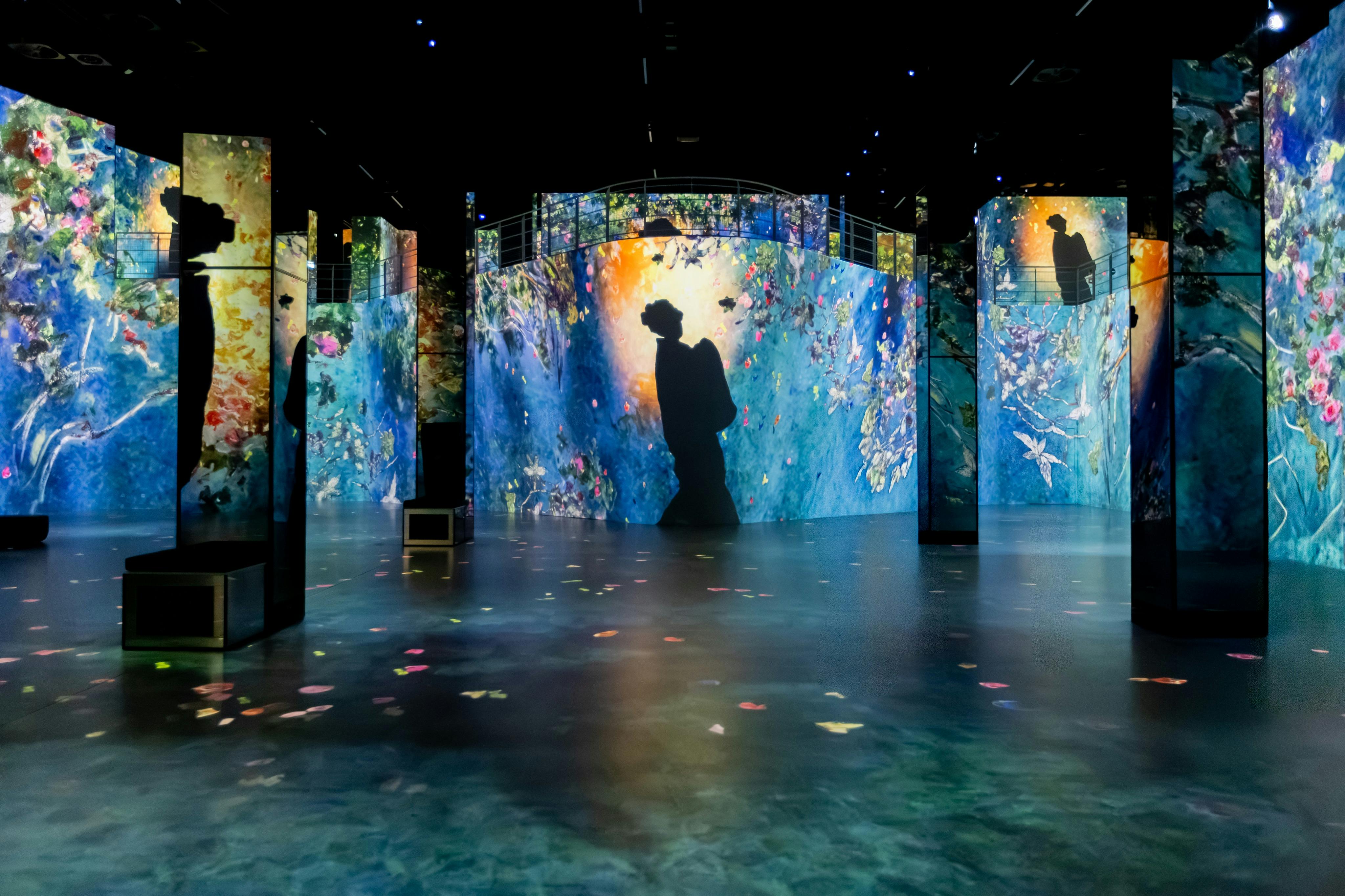 Port des Lumières: Monet - Master of Impressionism Entry Ticket - Photo 6