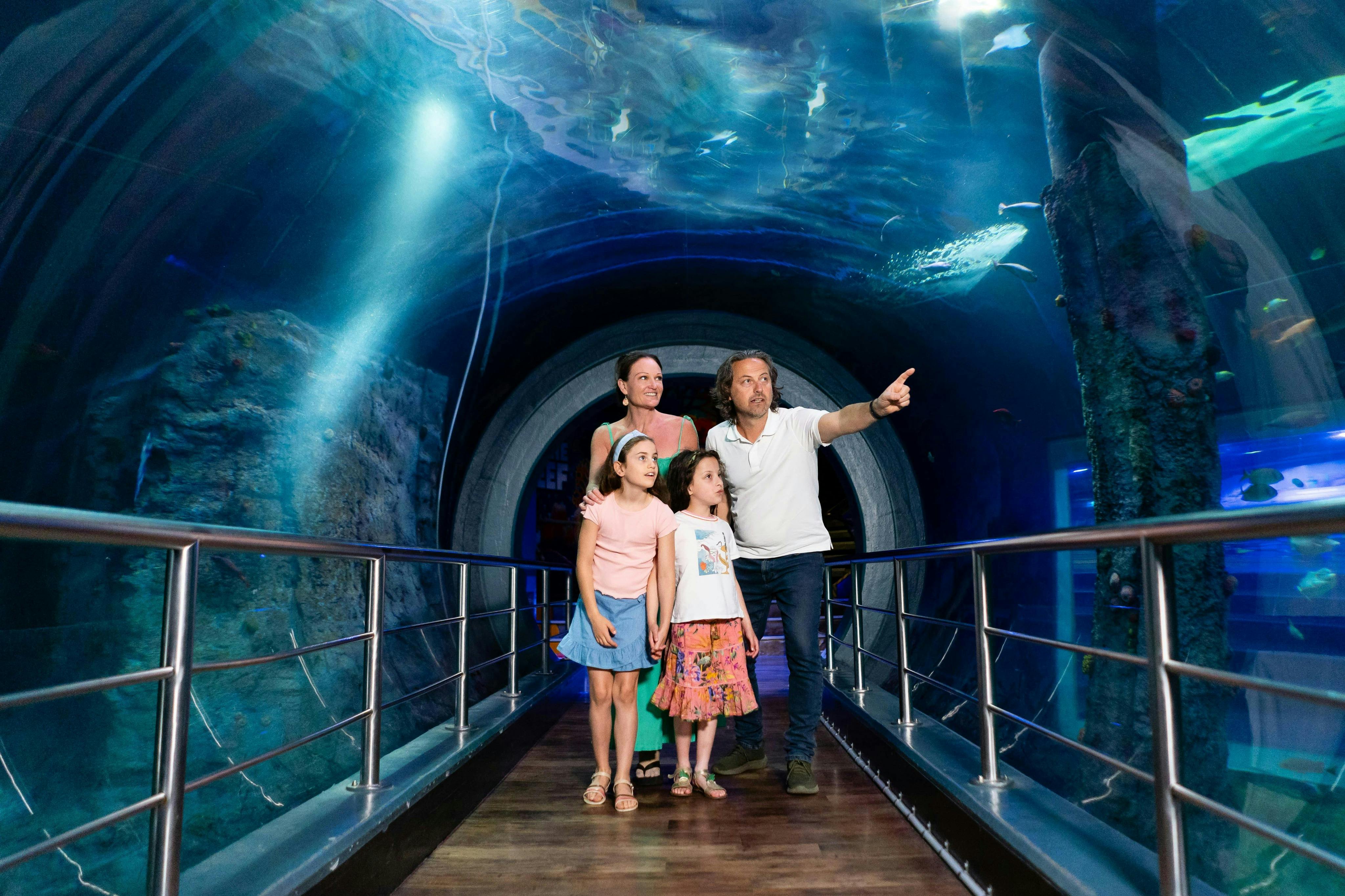Acquario SEA LIFE Melbourne: Biglietto salta-coda (Prodotto B2B) — 4
