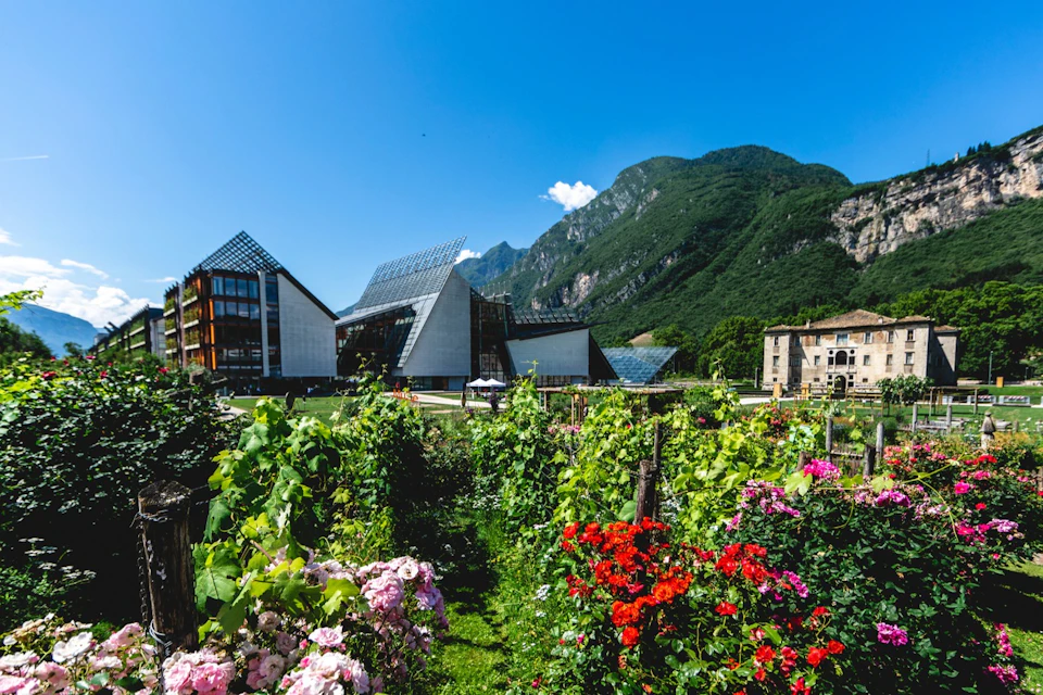 Trento's MUSE as seen from the gardens and vineyard
