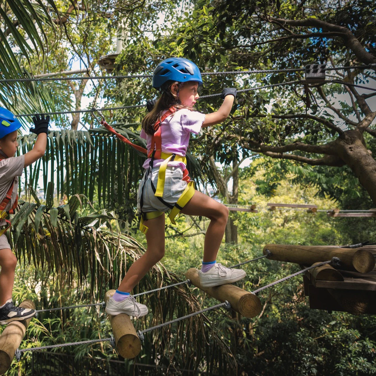 Treetops Adventure Western Sydney: Junior Ropes Course in Abbotsbury β Tiqets