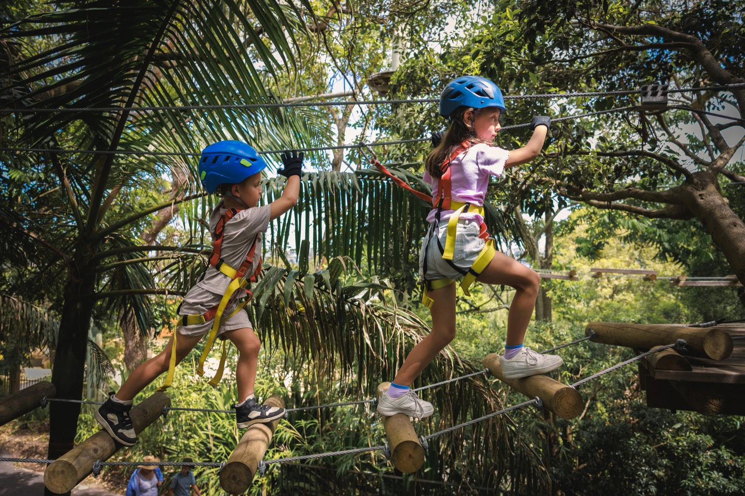 Treetops Adventure Sydney Ocidental: Curso de cordas para juniores