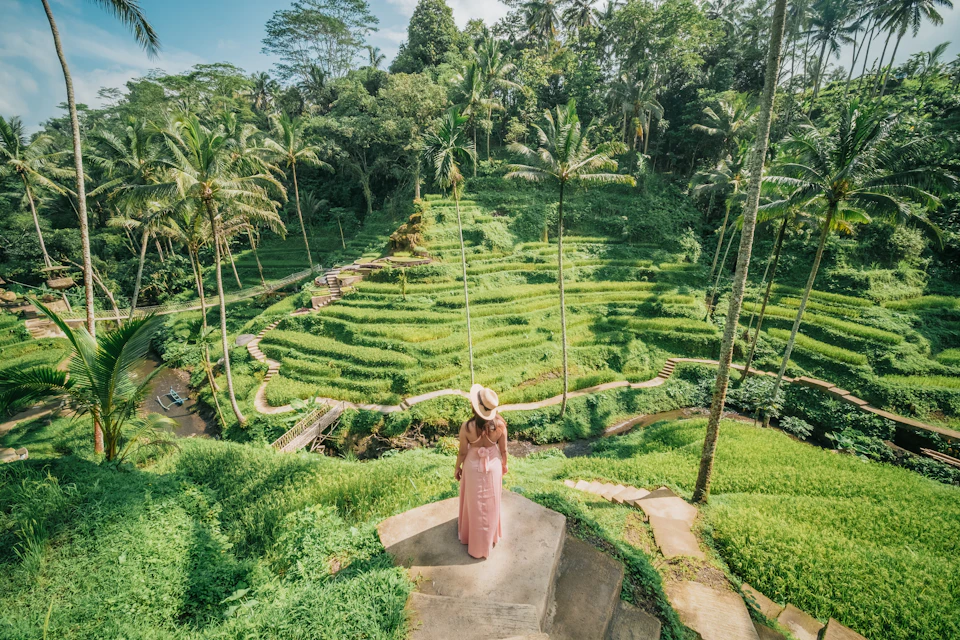 Alas Harum Swing Agrotourism in Tegallalang Ubud Bali