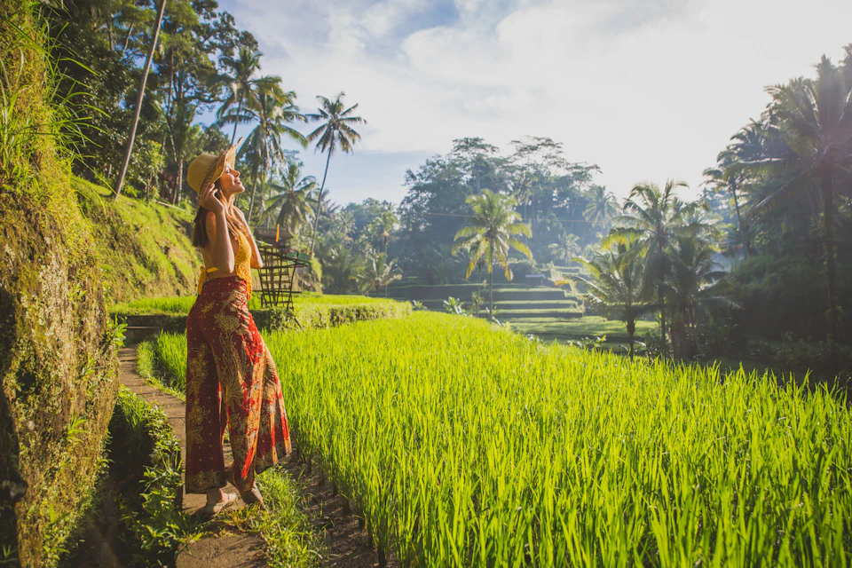 Rice Terrace