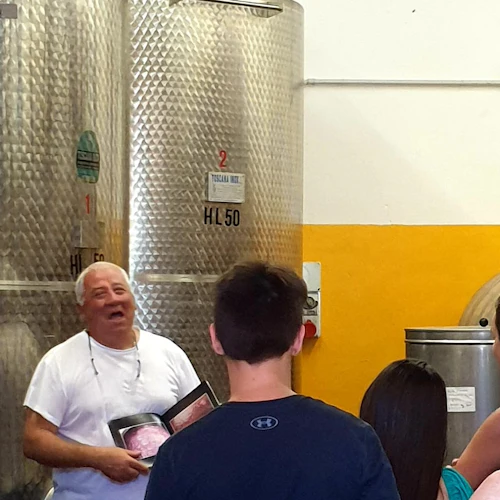 Florence: Wine Tastings + Minivan Tour - Photo 3