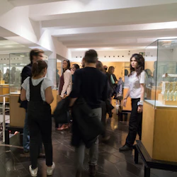 Människor som utforskar ett ljust upplyst museum ställer ut med glasfodral och skulpturer, med en trappa och mezzaninplan.