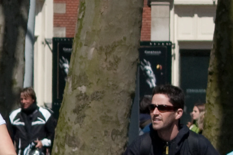 Group of people riding yellow bicycles down a street lined with trees and brick buildings, with a no entry sign visible.