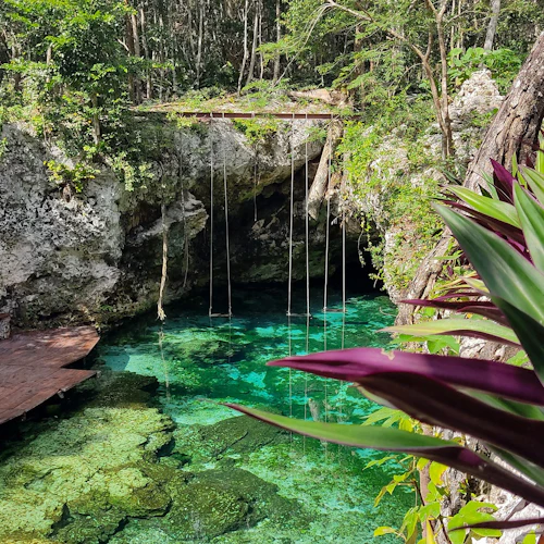 Maya Ruins of Tulum, Cenote Mariposa & Playa del Carmen: Roundtrip with Lunch - Photo 2