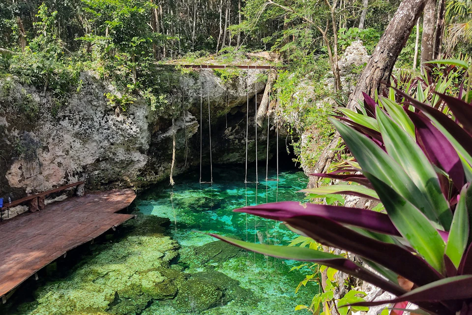 Butterfly Cenote