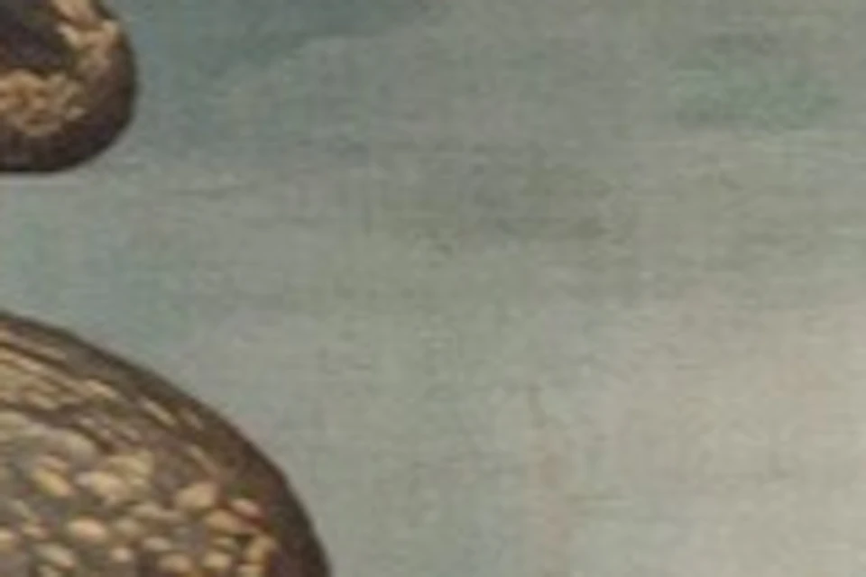 People viewing Sandro Botticelli's painting, 'The Birth of Venus,' displayed in an ornate frame at a museum.