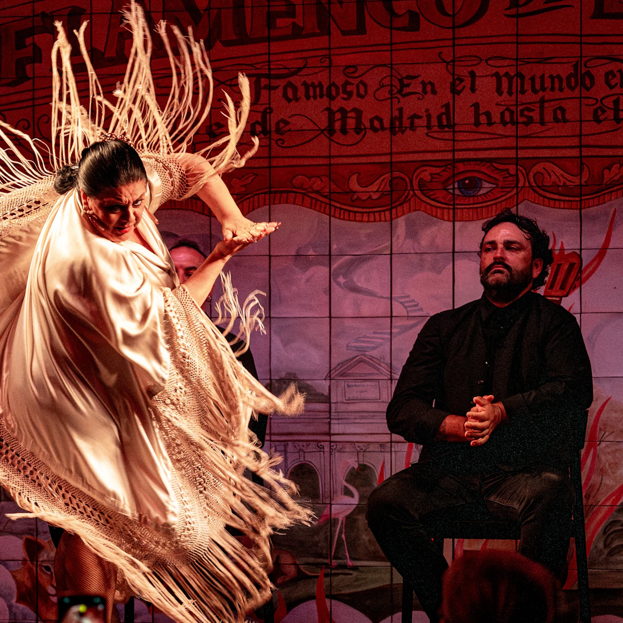 Madrid: Flamenco Show at Flamenco de Leones + Dinner