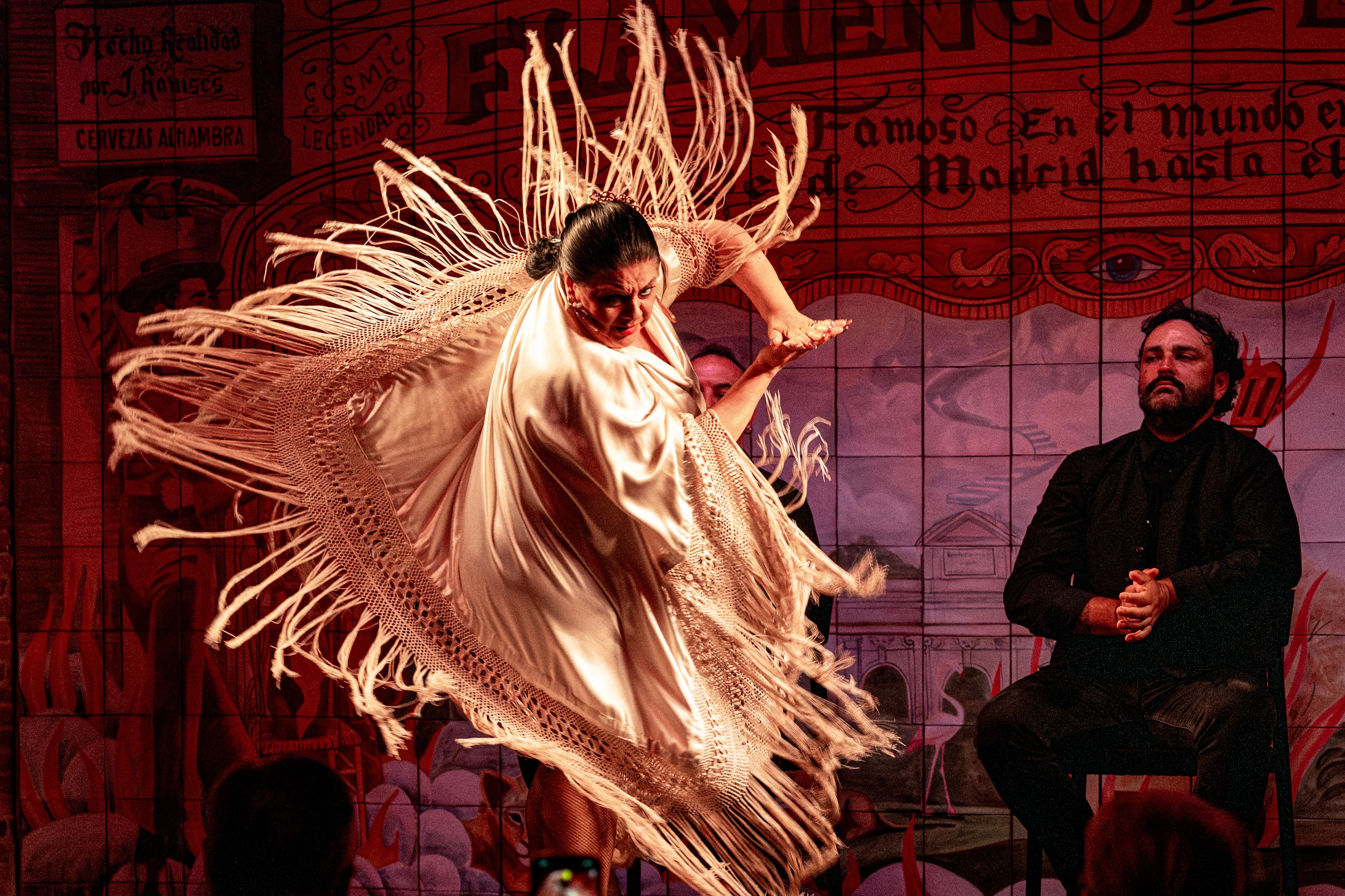 Madrid: Flamenco Show at Flamenco de Leones + Dinner