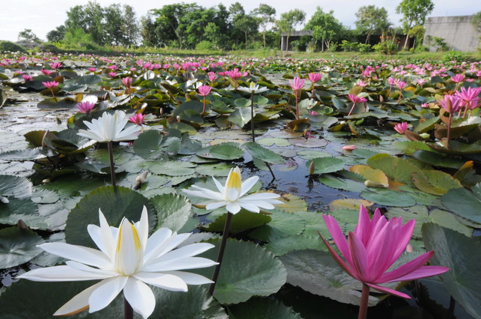 Sheng Yang Leisure Farm: Ticket + DIY Experience in Yilan (TWD100 Consumption Credit)