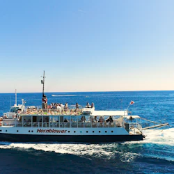 Comino, Blue & Crystal Lagoon: Boat Tour 3