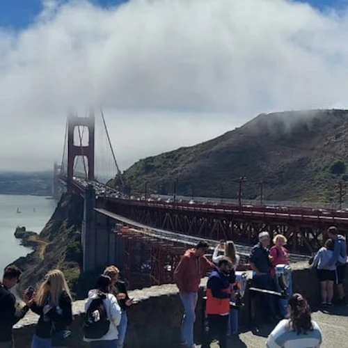Muir Woods e Sausalito: Excursão para grupos pequenos - Photo 6