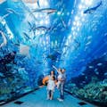 一家人在迪拜水族馆隧道观赏数百条鱼、珊瑚和鲨鱼
