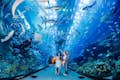 Famille au tunnel de l'aquarium de Dubaï observant les centaines de poissons, coraux et requins