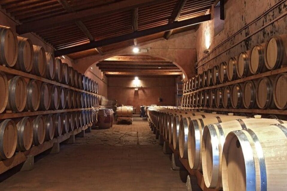 Wine cellar