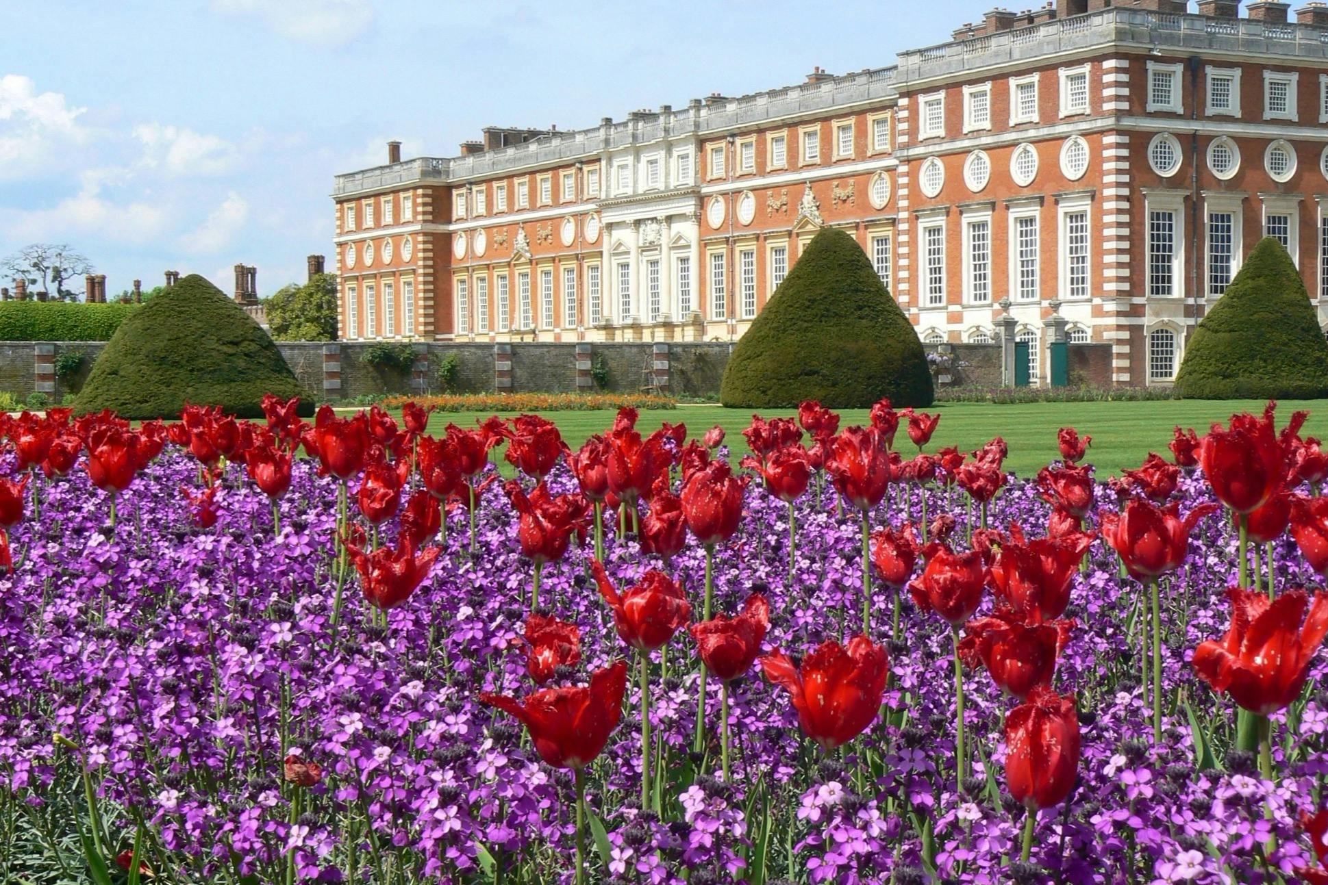 Hampton Court Palace, Gärten & Labyrinth: Eintrittskarte + Audioguide — 8