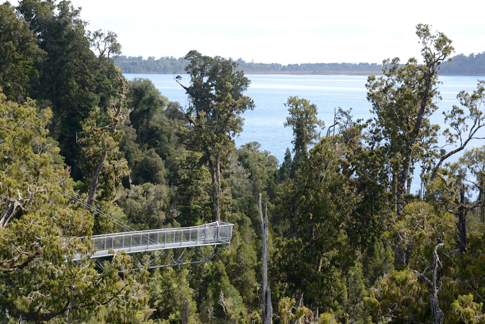 A treetop walkway extends through a lush forest with a lake visible in the background under a cloudy sky.