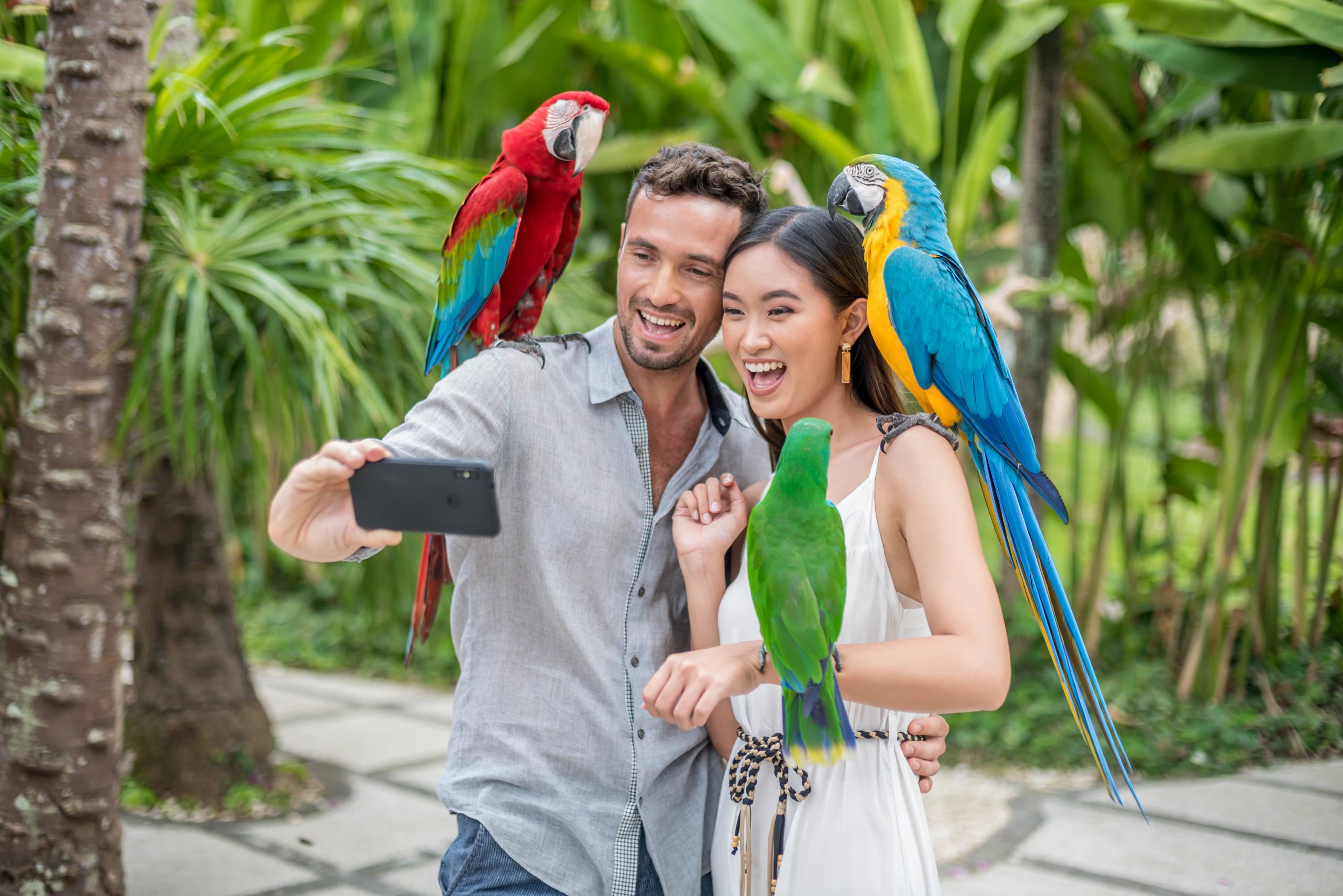 Bali Bird Park: Admission Ticket