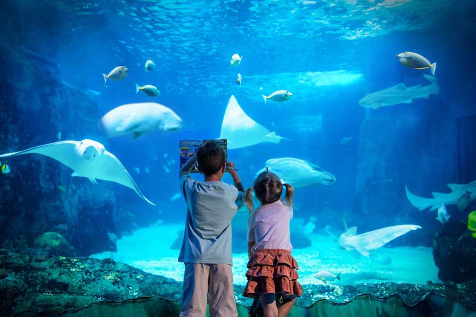 Two children observing marine life through a large aquarium window, with fish and rays swimming in the water.