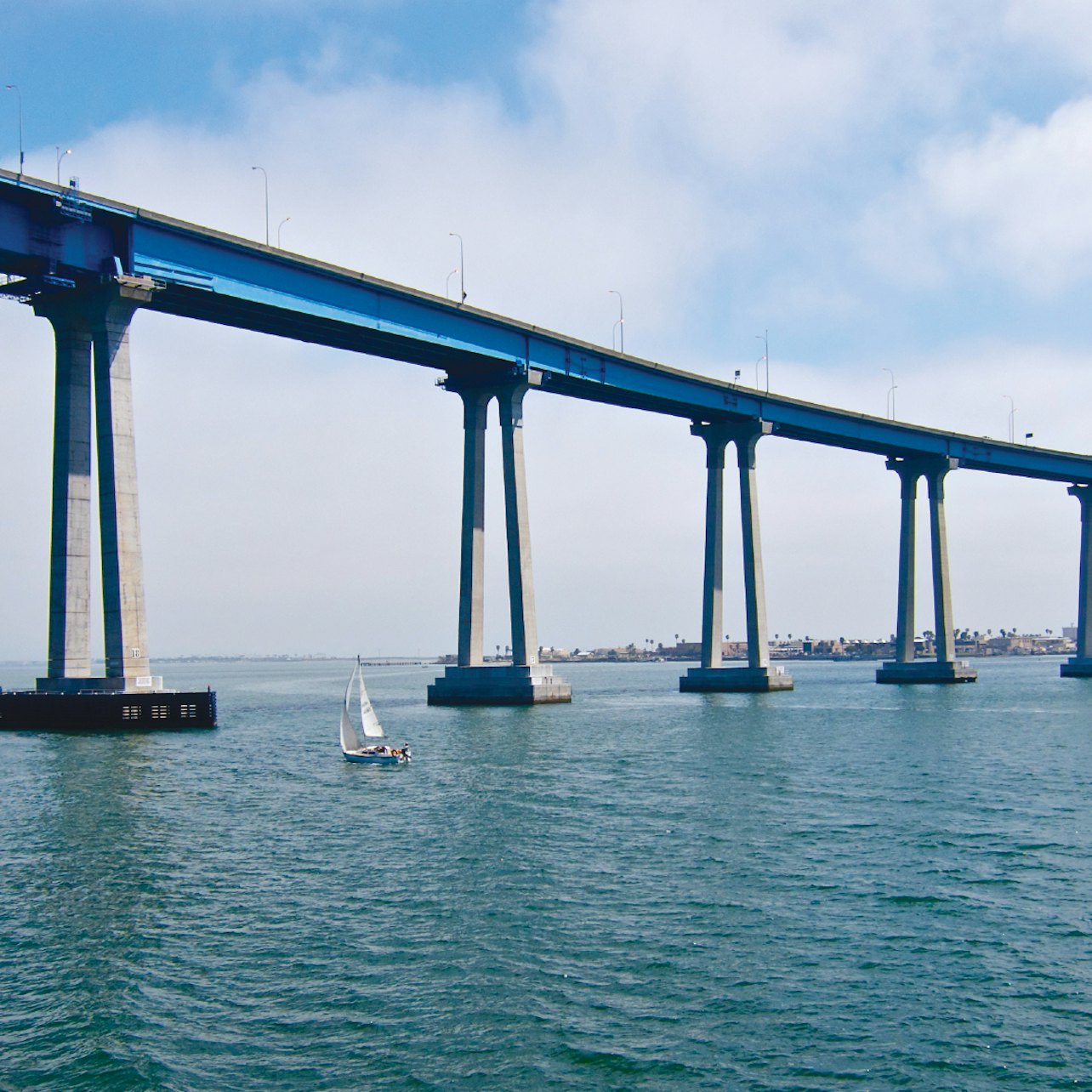 San Diego - Tour in Barca di un'Ora nel Porto e Avventura con i Leoni Marini - Alloggi in San Diego