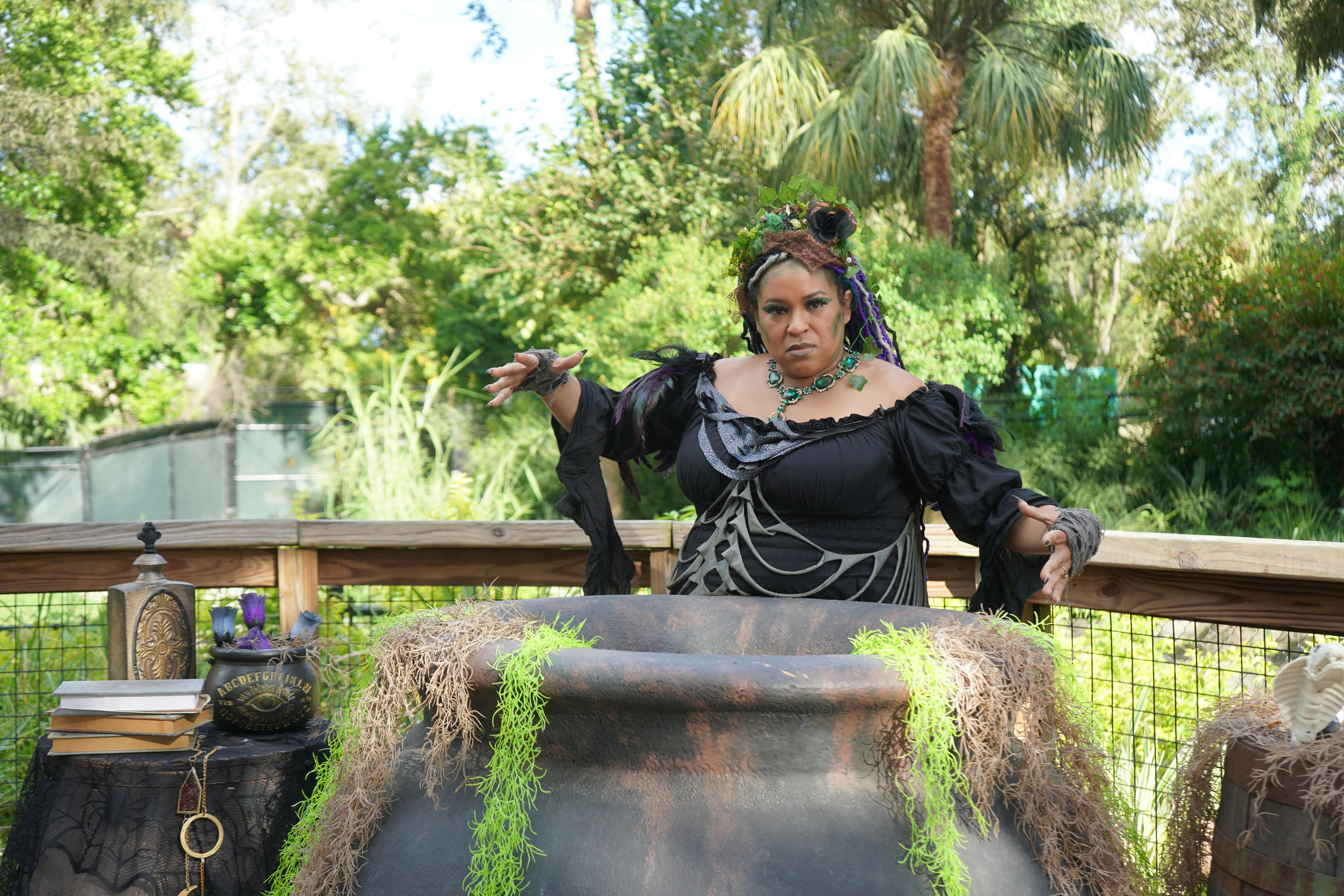 ZooTampa: Creatures of the Night - Photo 6