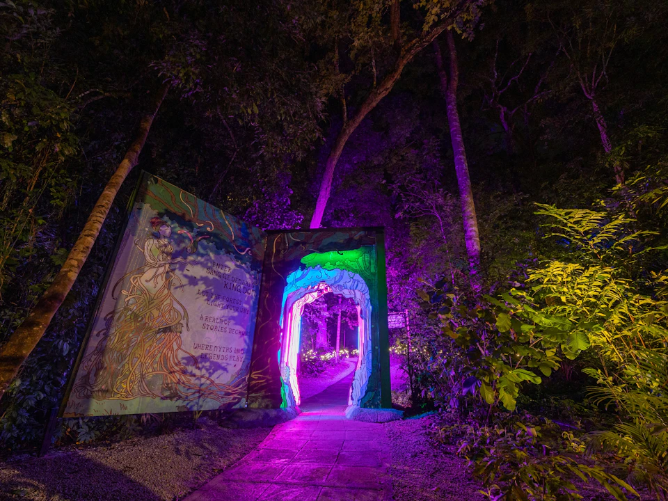 A vibrant, illuminated forest scene with a colorful archway and glowing path surrounded by trees and foliage at night.