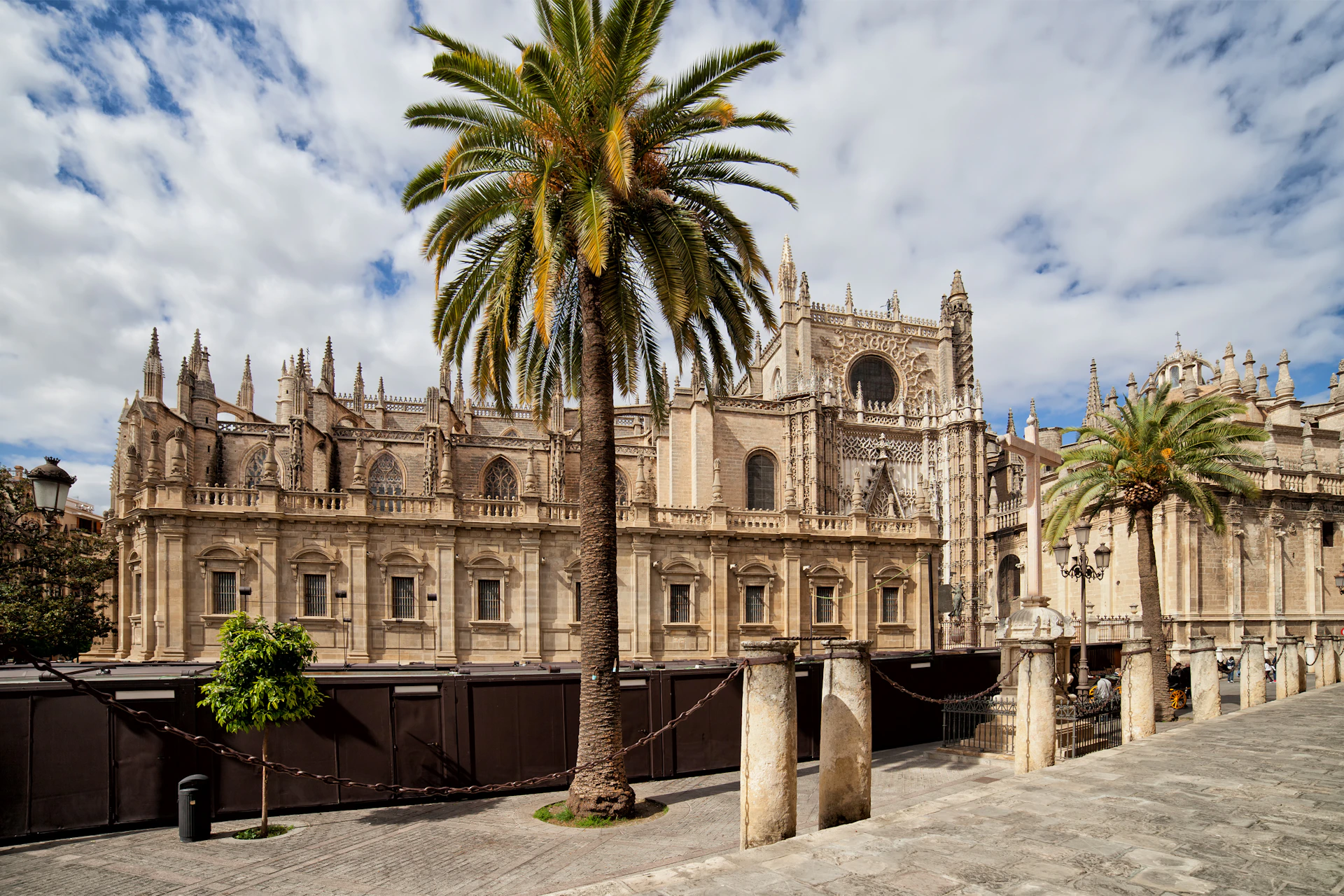 A historic cathedral with detailed Gothic architecture, large palm trees, and a partly cloudy sky.