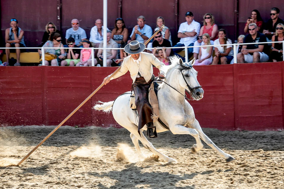 A horseman in traditional attire performs with a long pole on a galloping white horse in an arena with spectators.