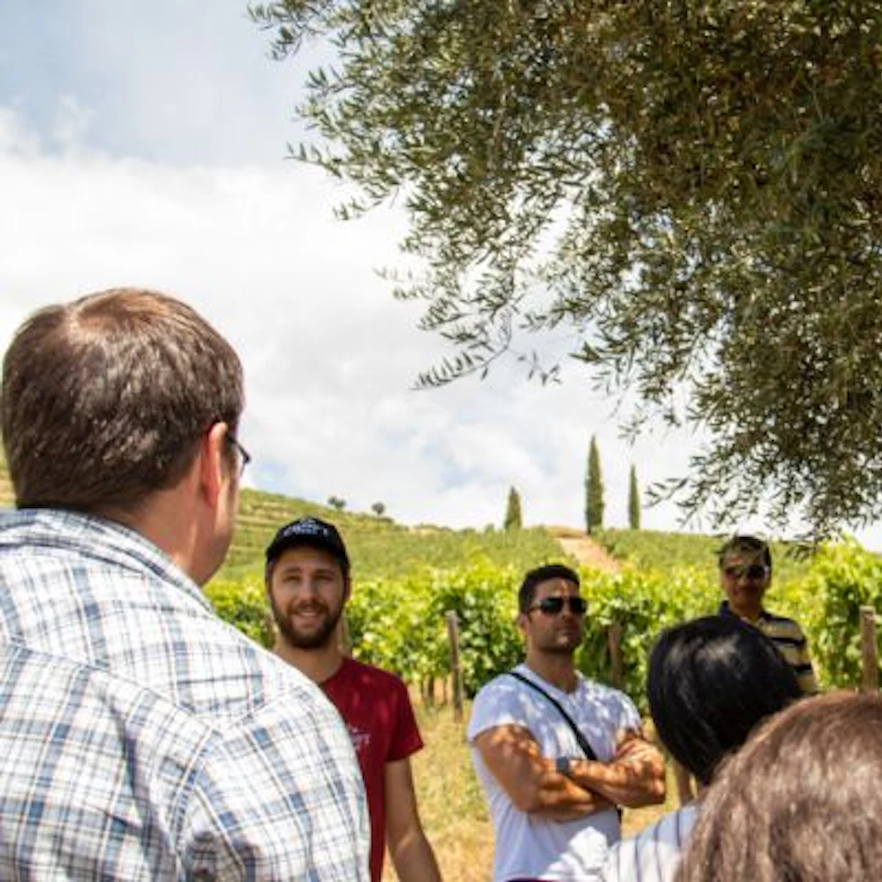 A group of people stands under a tree in a vineyard, engaging in conversation. Rolling hills and cloudy sky are visible in the background.