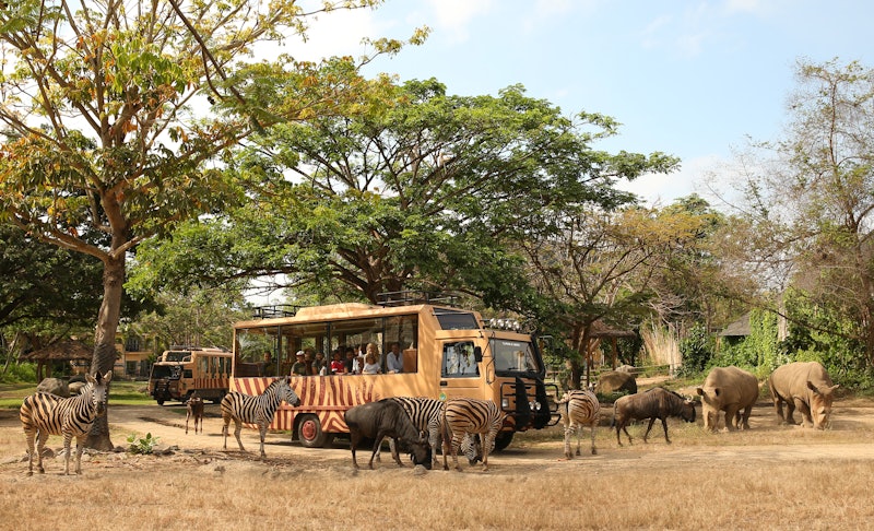 Bali Safari: Day Pass
