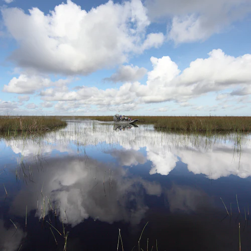 Fort Lauderdale: Pacote de aventura nos Everglades da Flórida - Photo 14