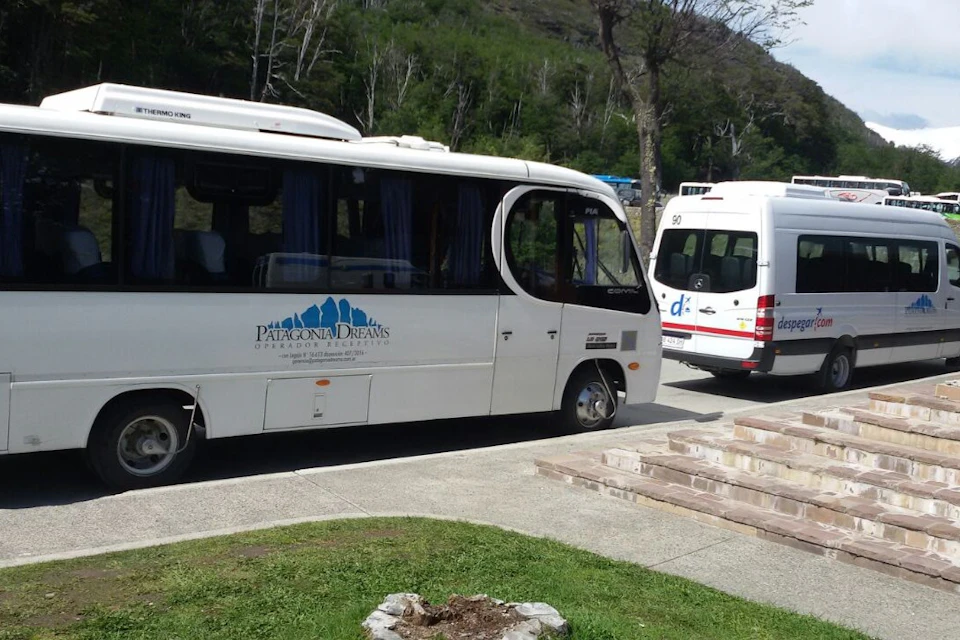 Buses - transfer in/out