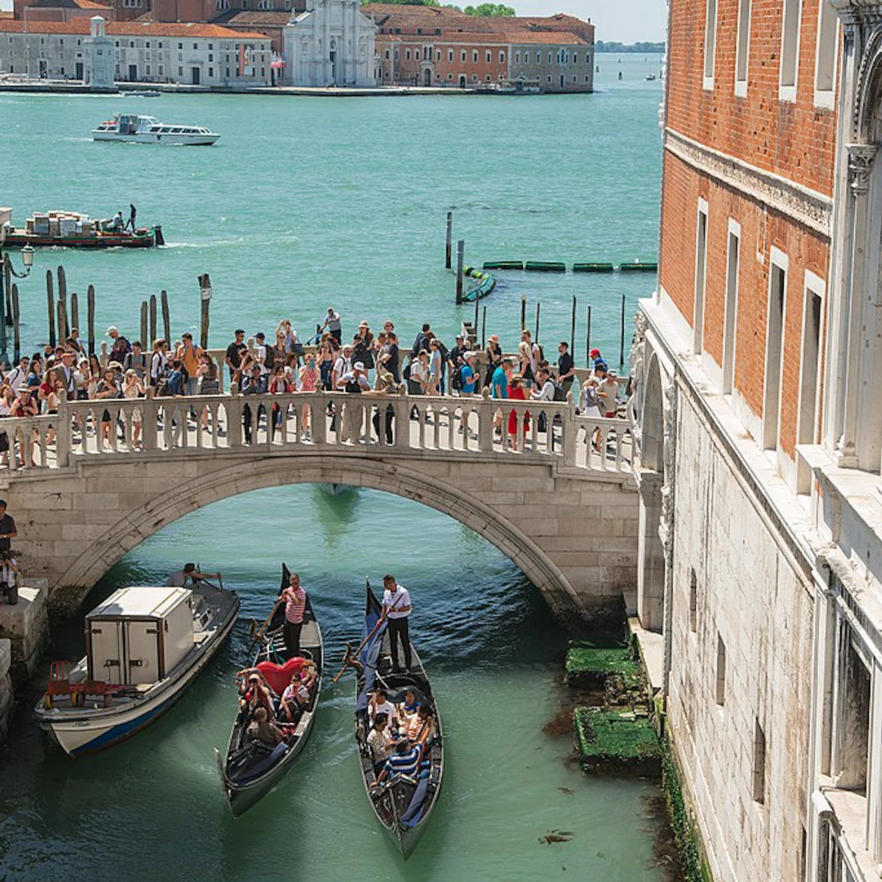 The Venice Pass in Venice – Tiqets