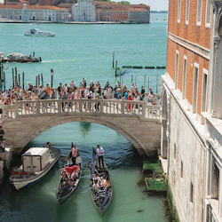 The Venice Pass 5