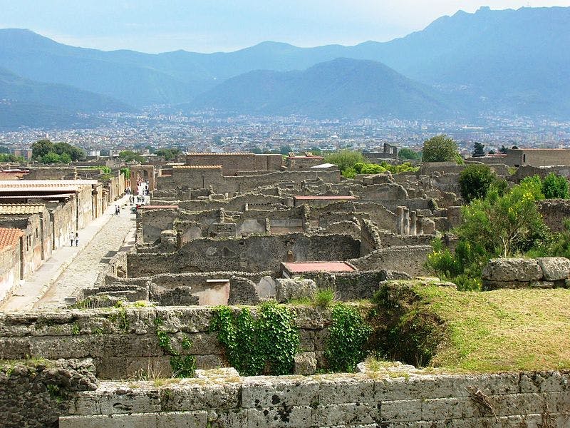 Ancient ruins of stone buildings with some greenery, a distant cityscape, and mountains under a clear sky in the background.