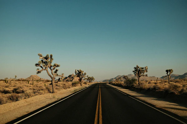 Los Angeles: Enkele reis vanuit Las Vegas + toegang tot Joshua Tree ...