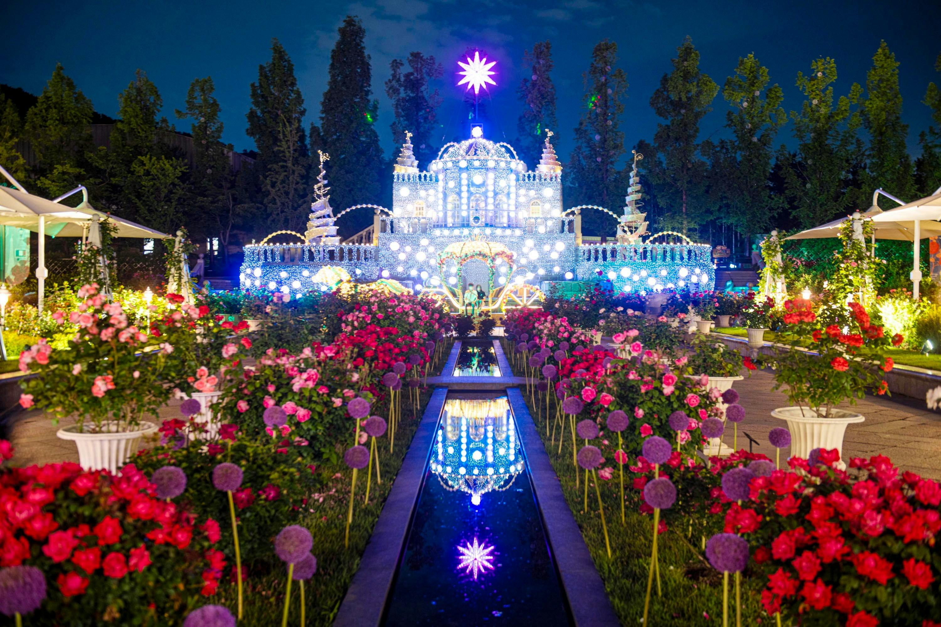 Illuminated castle-like structure in a garden with roses and a reflecting pool, under a night sky with glowing lights.