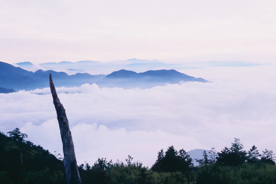 A serene mountain landscape with layers of peaks emerging above a sea of clouds under a pastel sky.