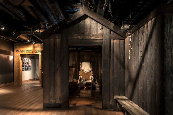 Stockholm Viking Museum tickets