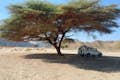 Desert Tent Marsa Alam