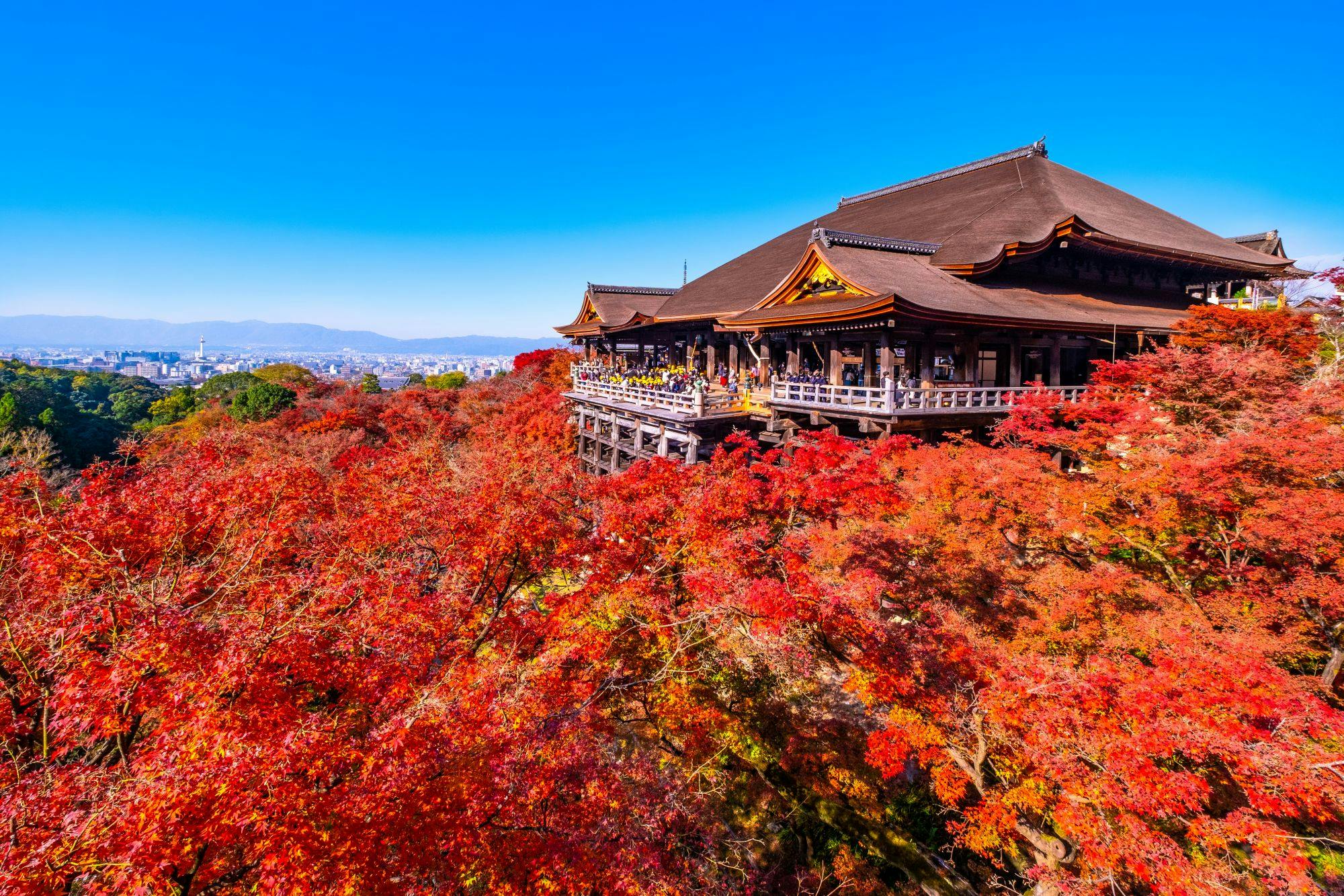 Fushimi Inari Taisha, Arashiyama, Kiyomizu-dera e Kinkaku-ji: Excursão de um dia a partir de Umeda com almoço em buffet + bilhetes de entrada - Photo 6