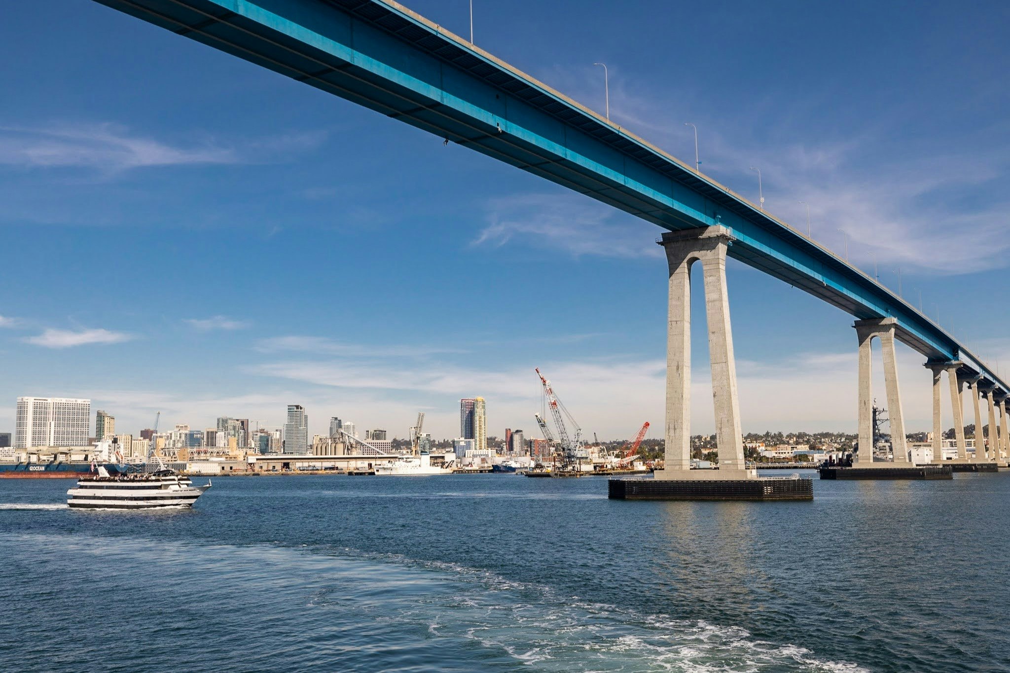 Cruzeiro de observação de baleias em San Diego