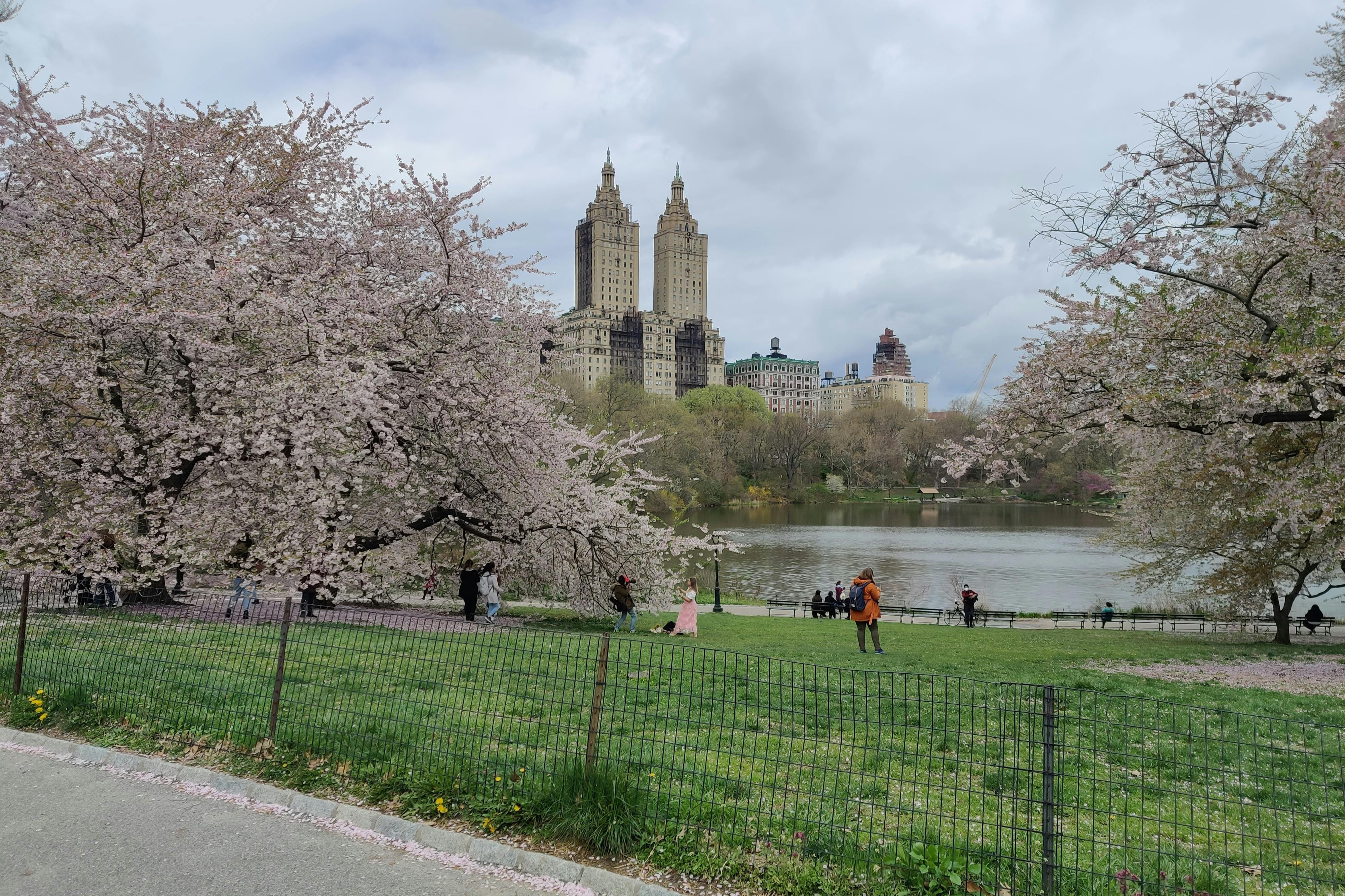 Nova Iorque: Visita guiada de bicicleta ao Central Park - Photo 4