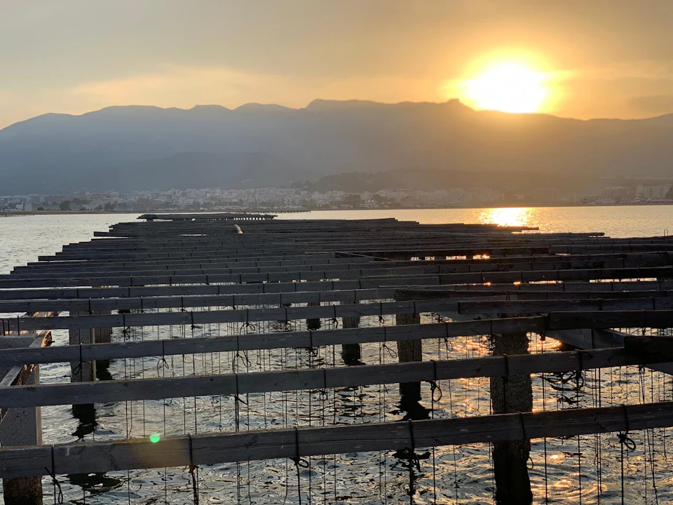 Sunset over wooden frames in a large body of water, with mountains and a distant city in the background.