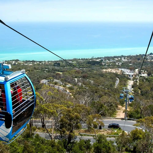 Arthurs Seat Eagle: Bilhete de gôndola de ida e volta + bebida - Photo 3
