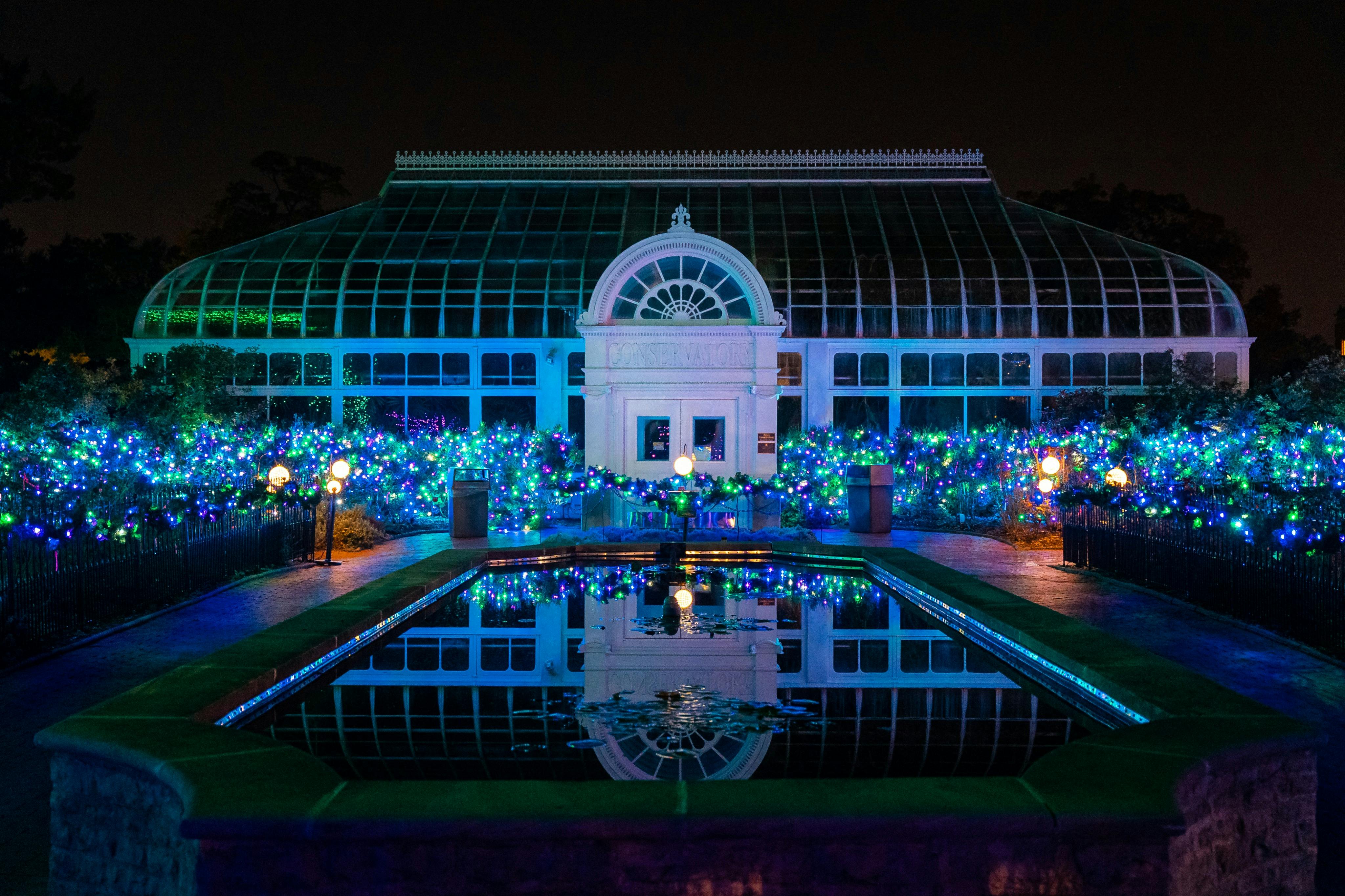 Jardim zoológico de Toledo: Bilhete de entrada para as Luzes antes do Natal - Photo 4